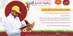 مطلوب مهندس زراعي تخصص انتاج حيواني في عمان