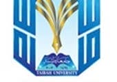 وظائف أكاديمية بنظام التعاقد في جامعة طيبة